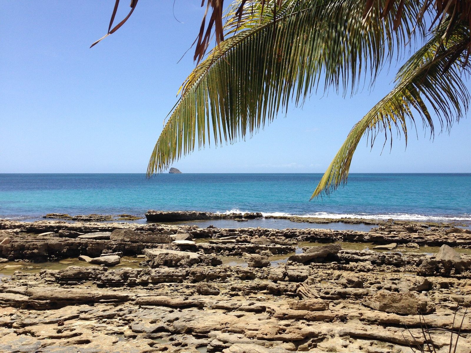Car rental in Guadeloupe