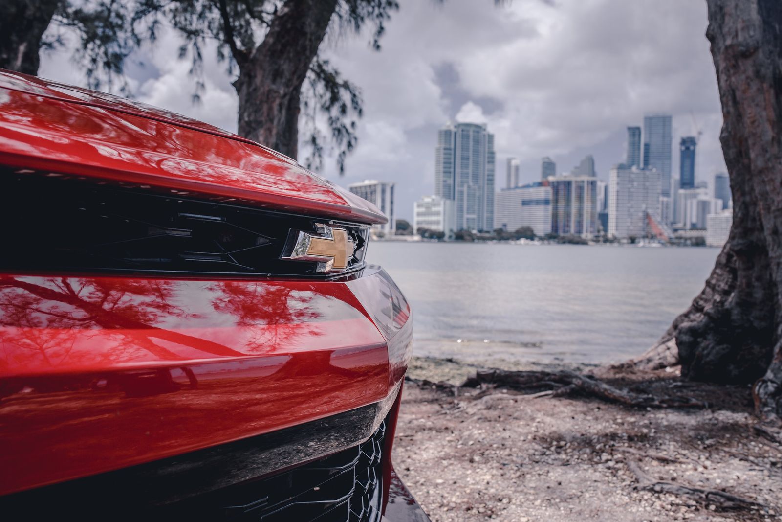 Alquiler de coches en Miami Coral Gables/Miracle Mkt